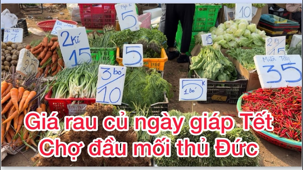 Toàn cảnh Giá bán lẻ rau củ quả chợ đầu mối thủ Đức sáng 9-2 
