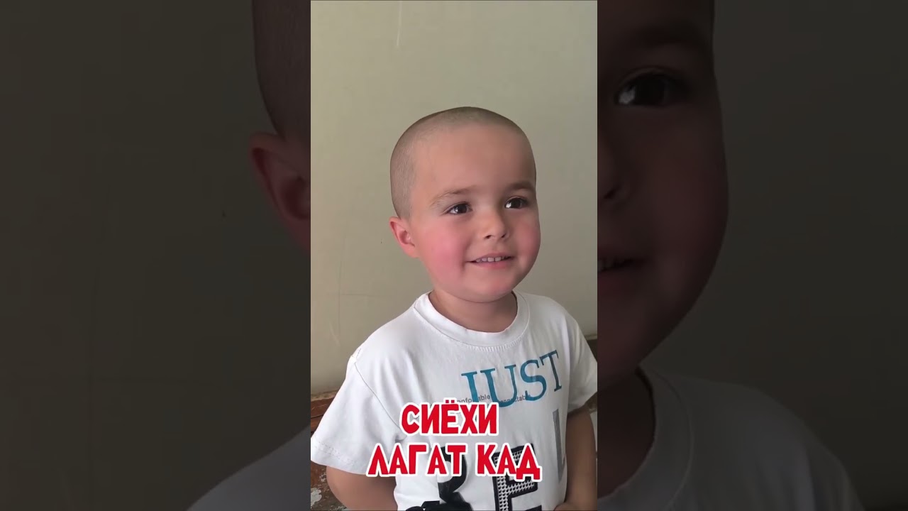 ГАЙС ГАЙС🤣🤣 СИЕХИ ЛАГАТ КАРД 😂 Приколи СЕБ 🍎🍎🍎🍎😂