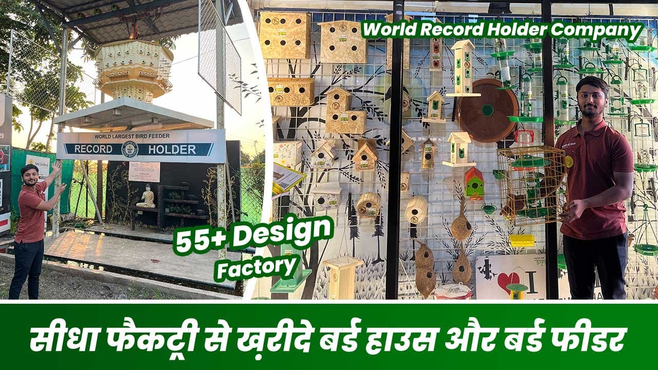 सीधा फैक्ट्री से ख़रीदें होलसेल रेट में बर्ड हाउस और फीडर  🐦🪺🏠 Bird House & Feeder Factory Tour