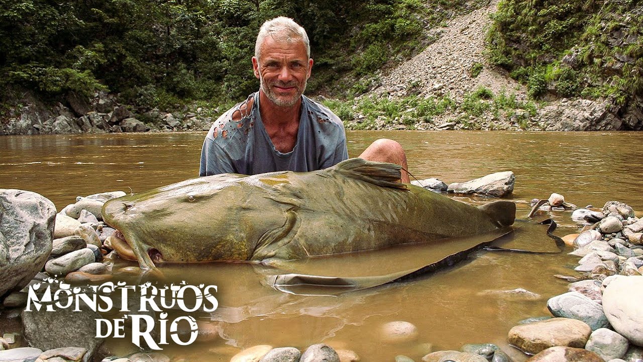 Los peces MÁS GRANDES capturados en la temporada 1 de Monstruos de Río