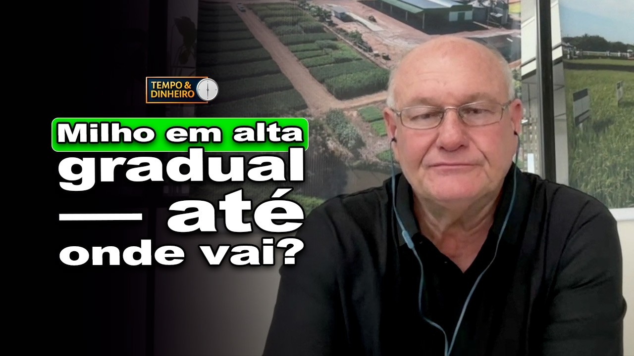 Milho sobe pela escada: alta gradual começa a ganhar forma