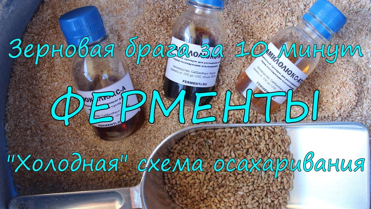 Ферменты. 