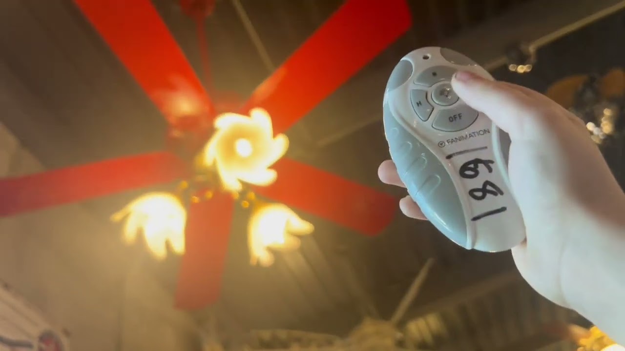 Fanimation Museum