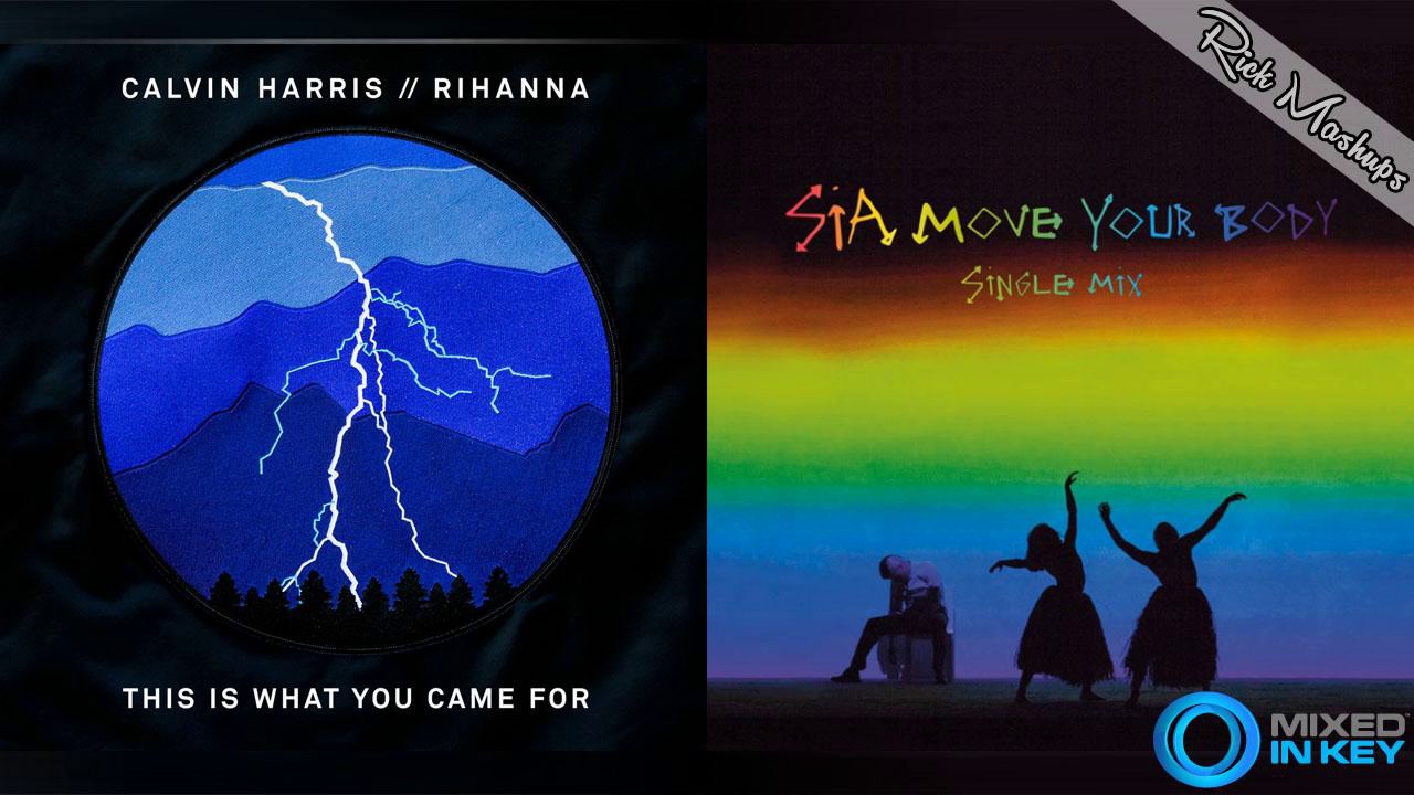 This Is What You Came For vs Move Your Body - Calvin Harris & Sia (Mashup)