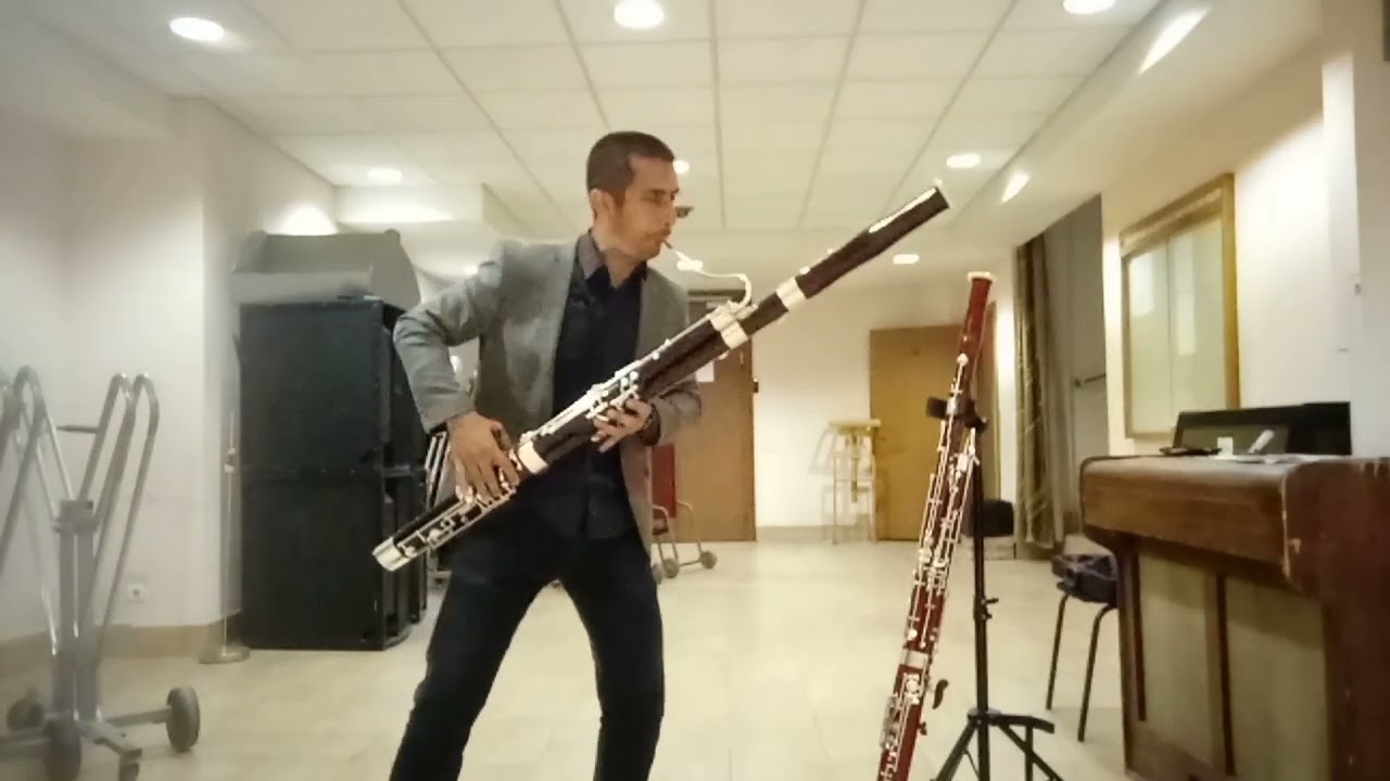 Puchner Superior Classic & Schreiber S71 Test