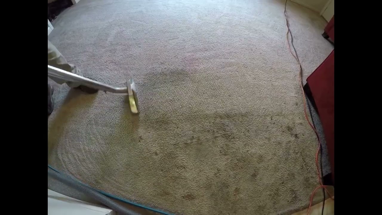 Eco-Friendly Residential & Commercial Deep Cleaning | Stain & Odor Removal in Northern VA | Call Now