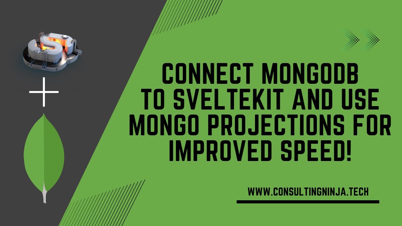 SvelteKit | Mongodb connect | using projections to get data faster!