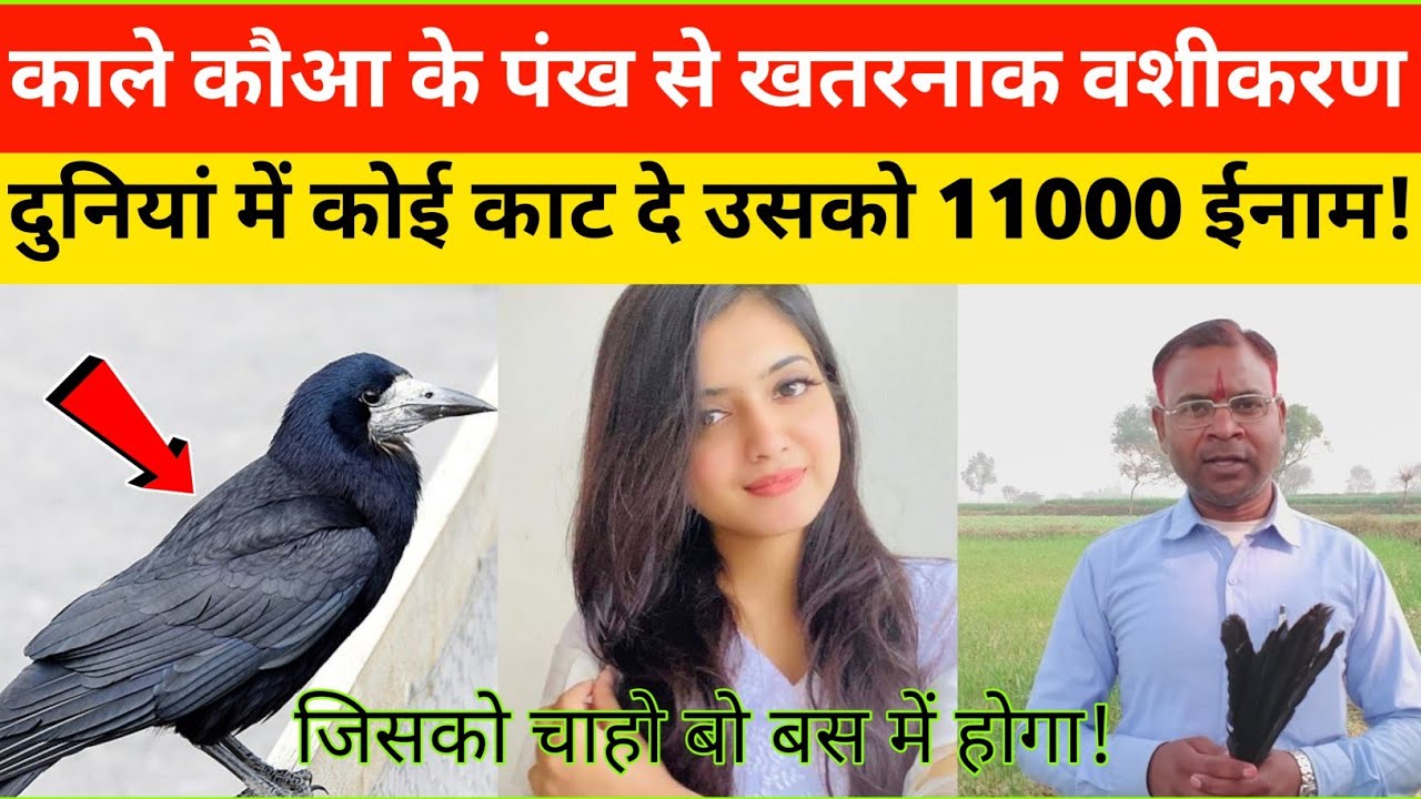 #काले कौआ के पंख से खतरनाक वशीकरण // दुनियां में कोई काट नहीं सकता 100 % गारंटी है ?
