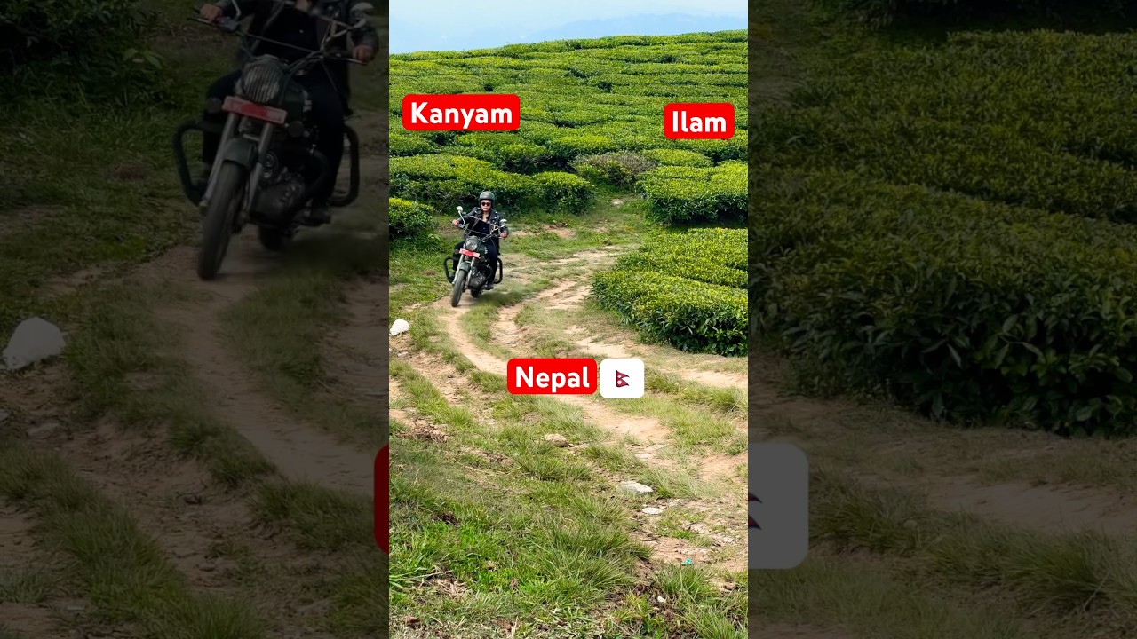 BULLET RIDE AT KANYAM ll Kanyam Ilam Nepal #viral #youtubeshorts #shorts
