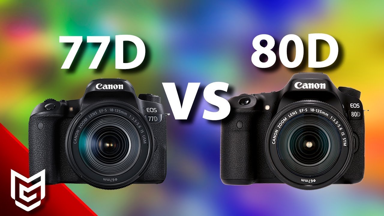 Canon 77D mi Canon 80D mi? - Mert Gündoğdu 📸