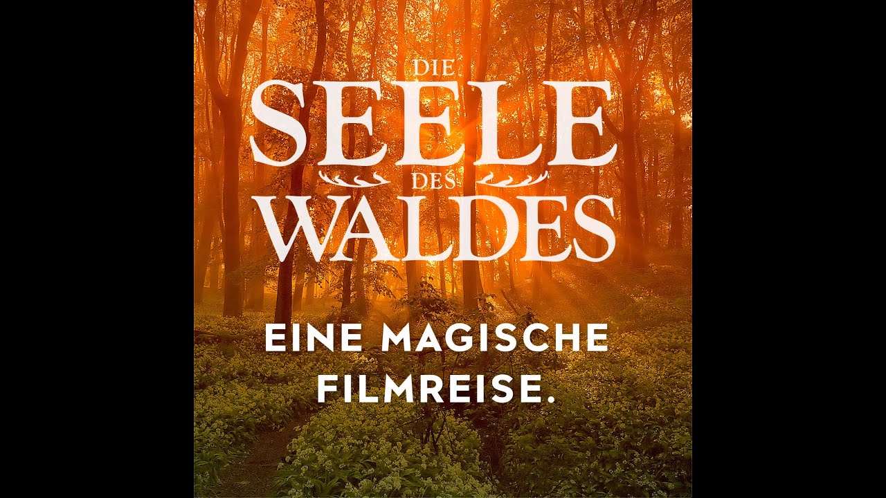 Die Seele des Waldes - Live-Film von & mit Stefan Erdmann