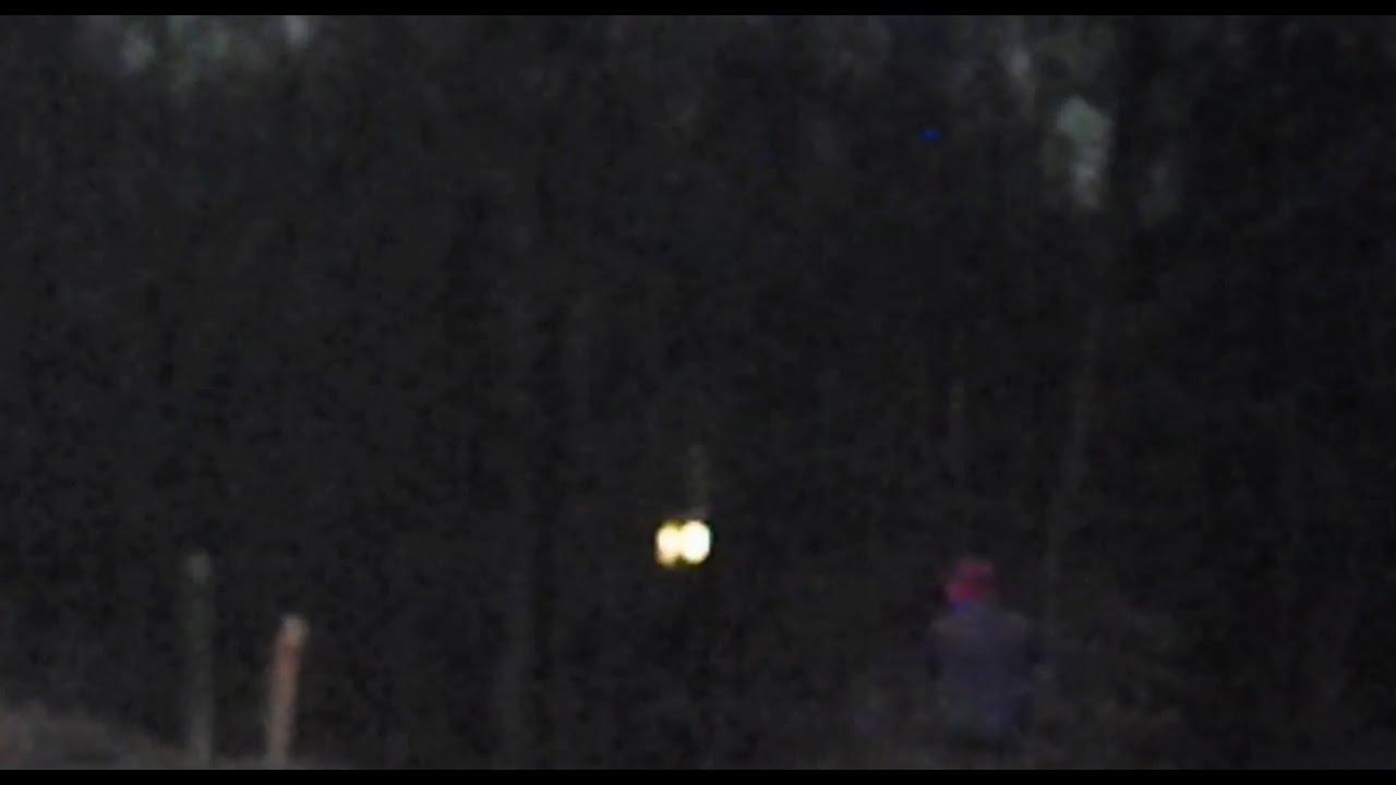 The Lights In The Woods