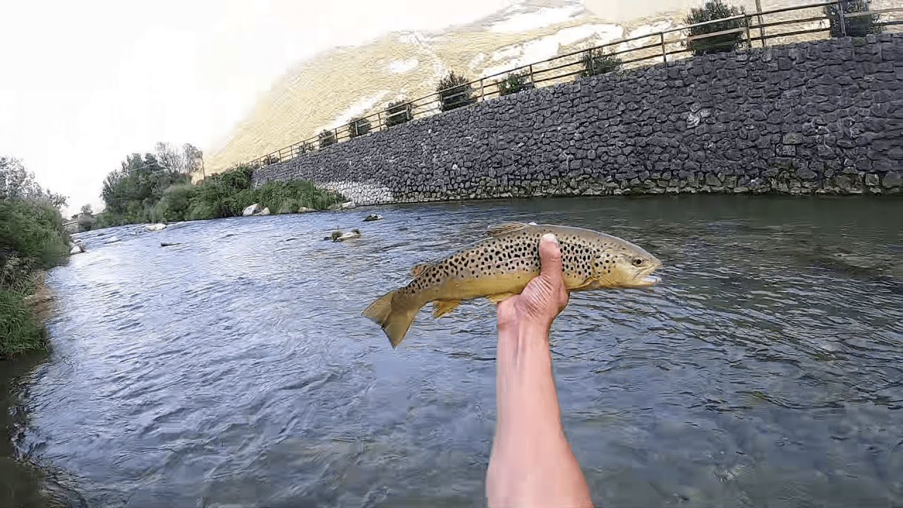 Fly Fishing Alps - Sarca River