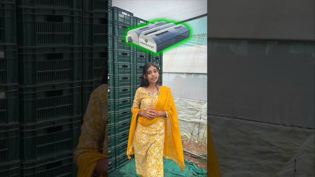किसानों को लगा बड़ा झटका Polyhouse Subsidy 50% से घटकर 35%💸🔥 #farming #polyhouse