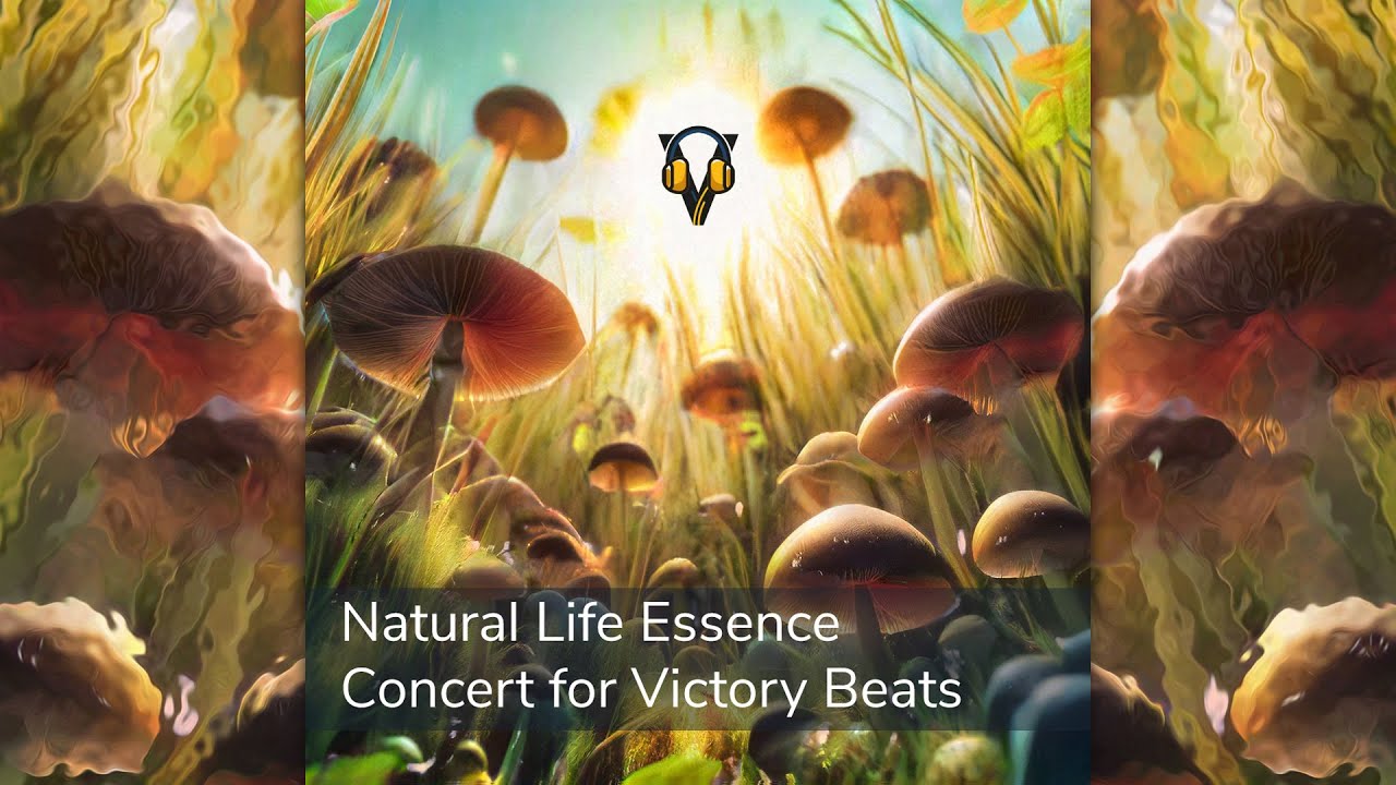 N:L:E - Concert For Victory Beats [Chill Space Mix Series 154]