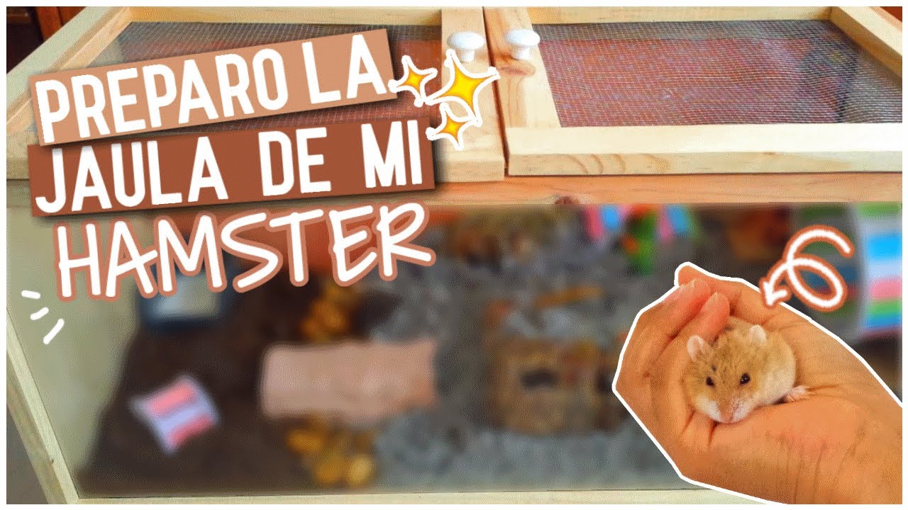 COMO PREPARAR la JAULA de mi HAMSTER