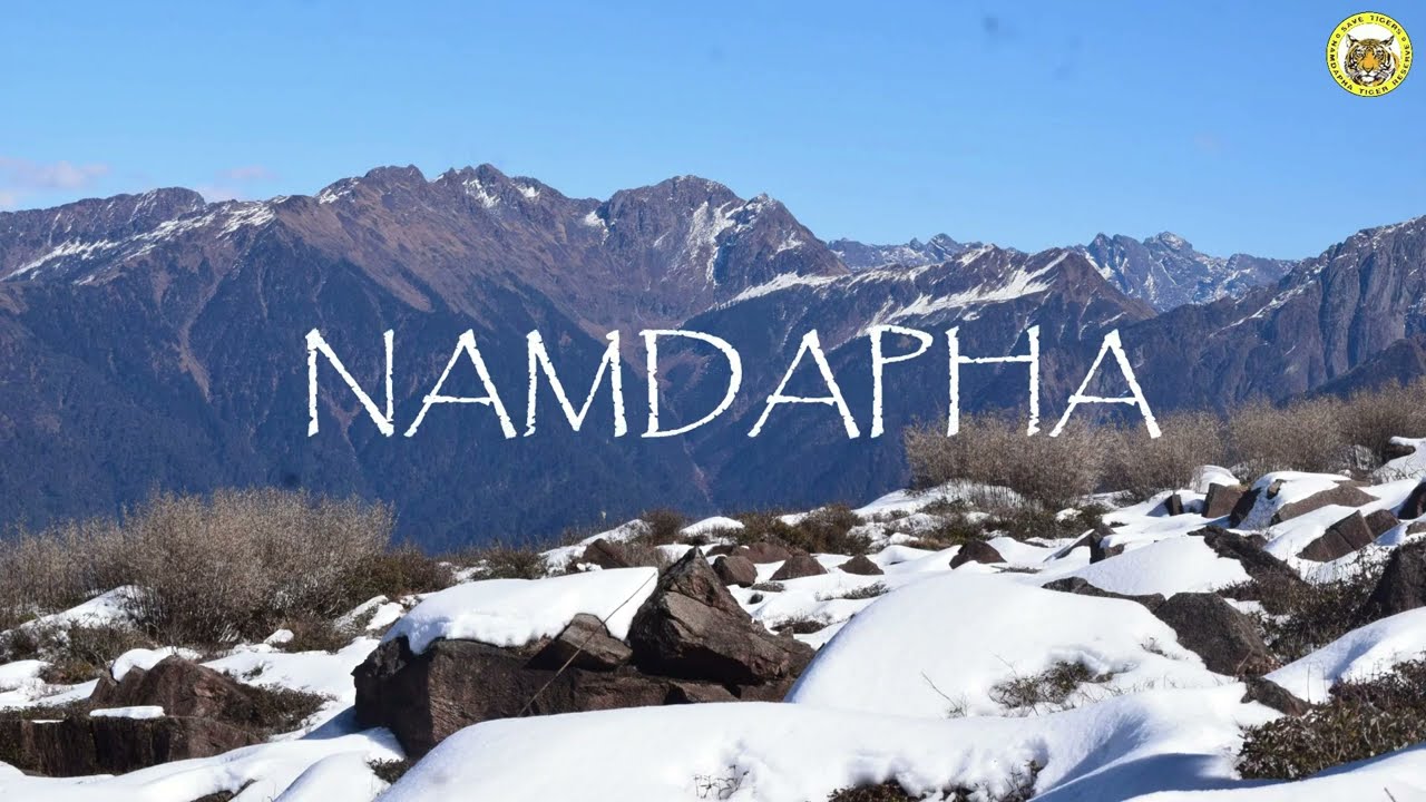 Namdapha National Park & Tiger Reserve - The Queen of Forests #ArunachalPradesh #Jungle #Wildlife
