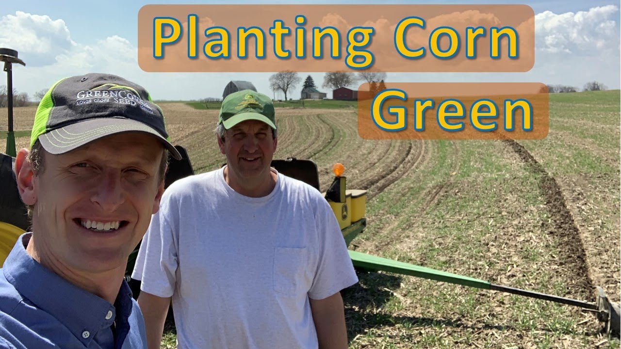 Planting Corn 