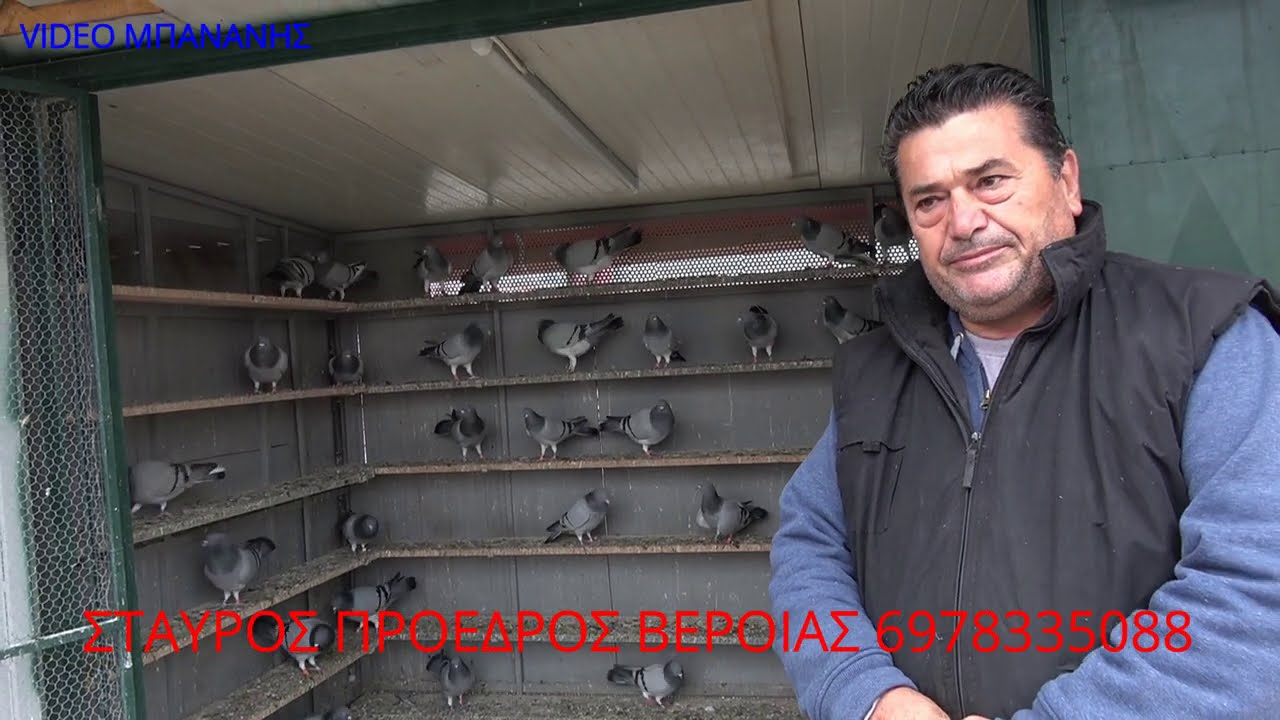 ΣΤΑΥΡΟΣ ΠΡΟΕΔΡΟΣ ΒΕΡΟΙΑΣ