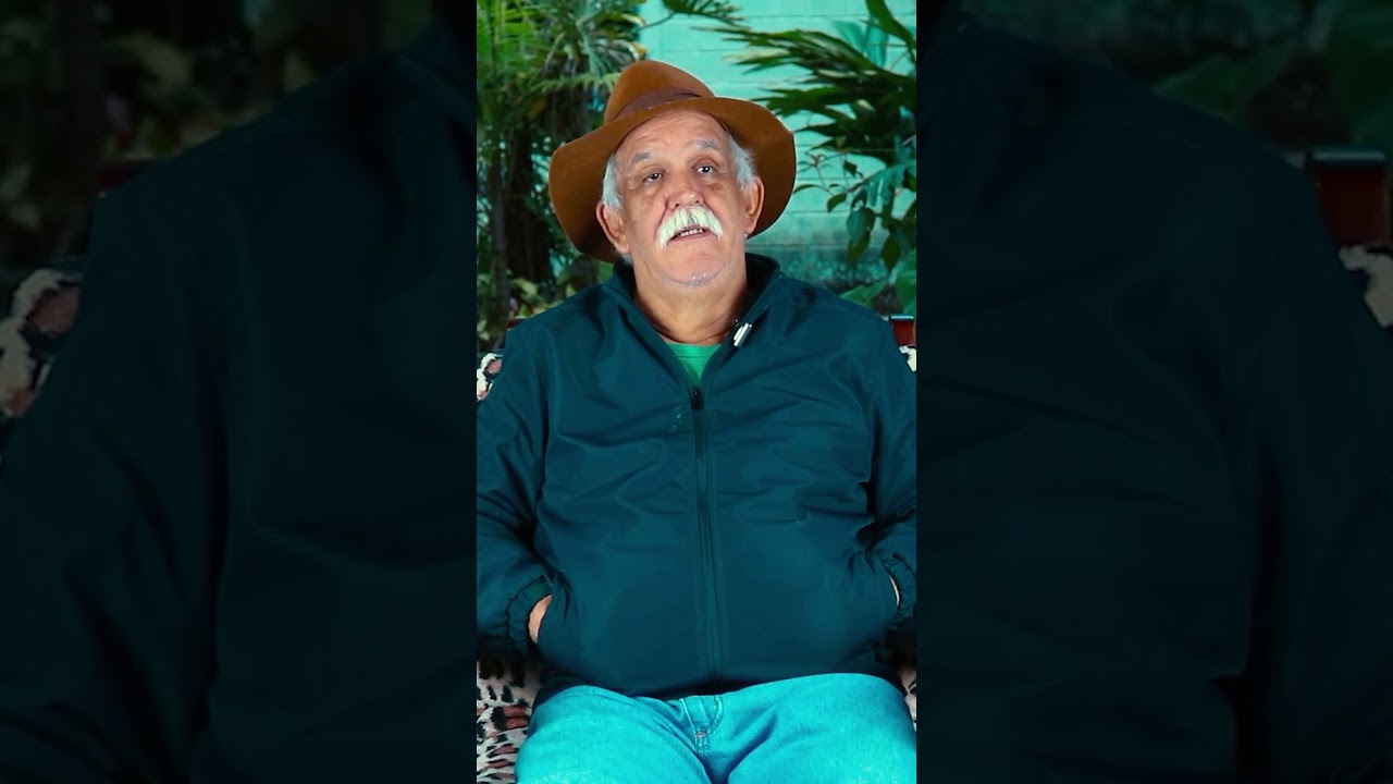 DESINTOXICANDO O RINS COM ESSAS ERVAS MEDICINAIS #shorts #paulodaservas #liadaservas #limpezadosrins