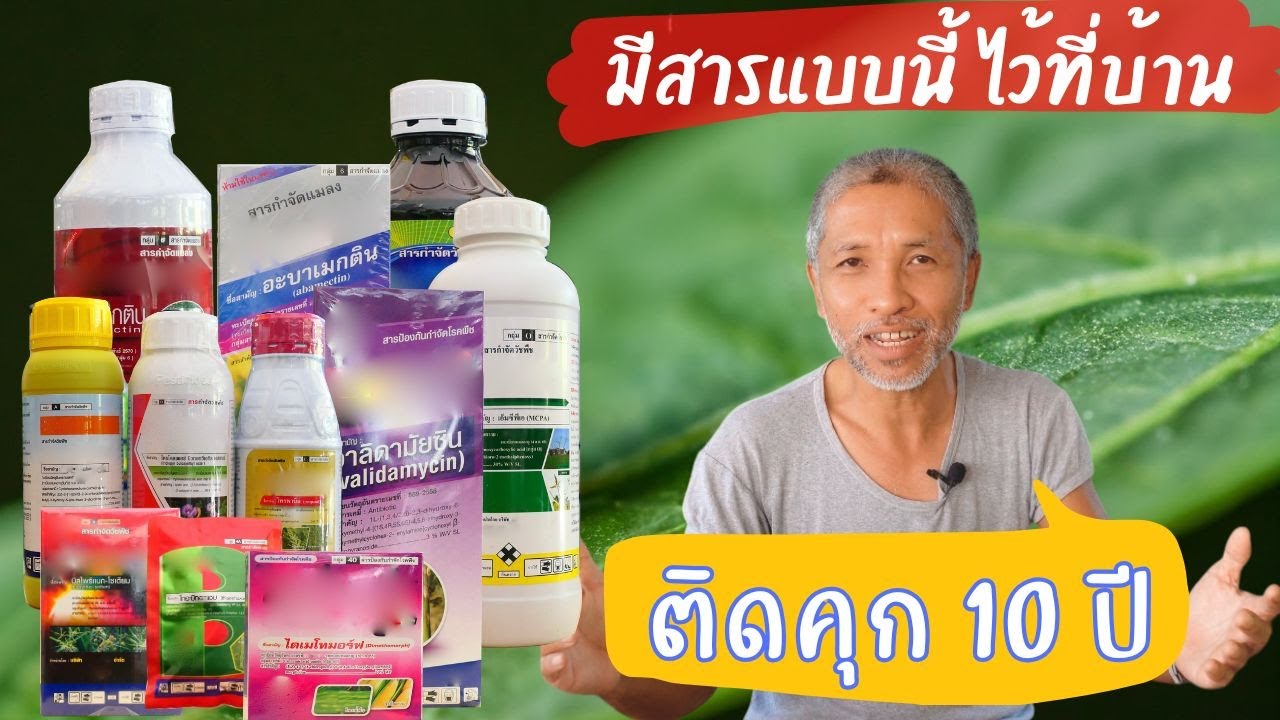 สารกำจัดแมลง เรื่องควรรู้ จะซื้อมาใช้ จะซื้อมาขาย ต้องรู้ เรื่องอะไรบ้าง