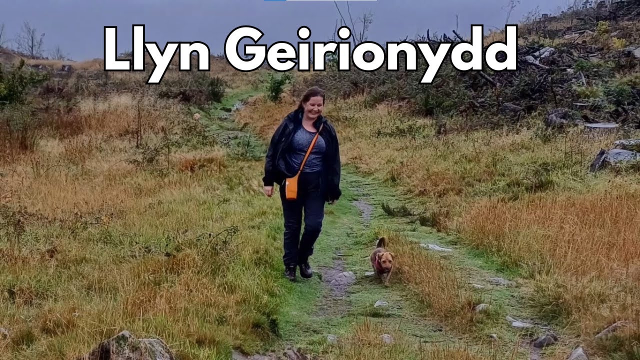 Llyn Geirionydd & Llyn Crafnant Dog Hike: Serene Woodland Walk & Hidden Slate Ruins in Snowdonia