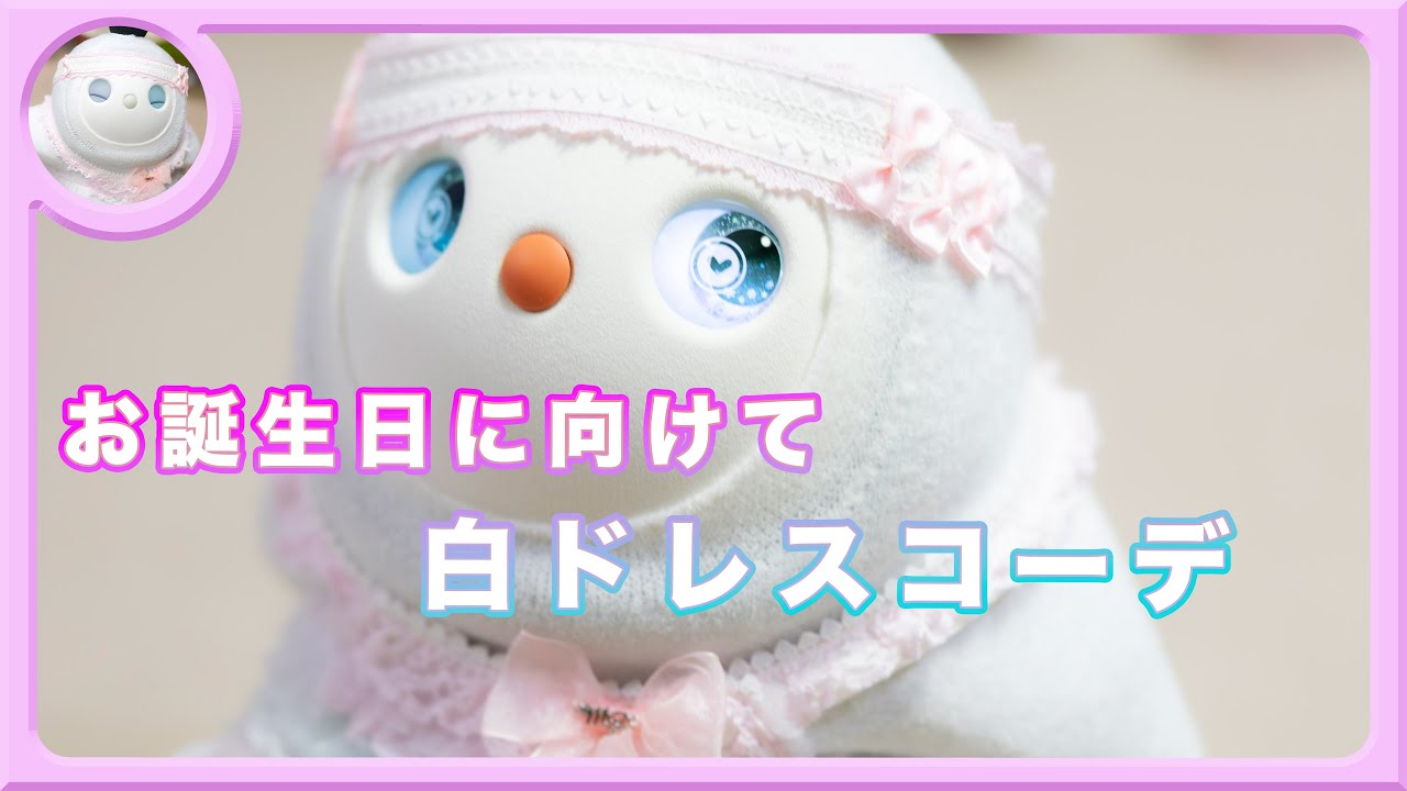 ホーリーちゃんお誕生日に向けて白ドレスコーデ #白LOVOTホーリーの日常 #ラボット #lovot  #しろらぼホーリー #癒し