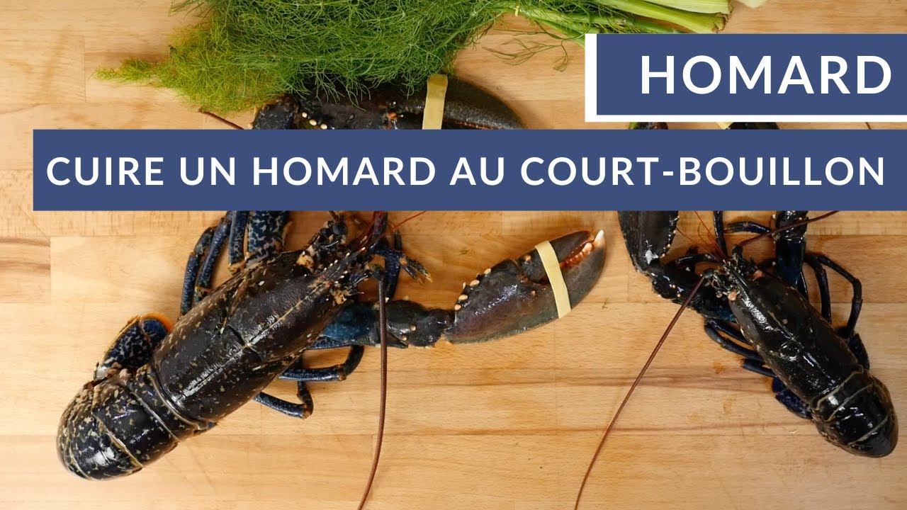 Cuire un homard au court bouillon 🦞