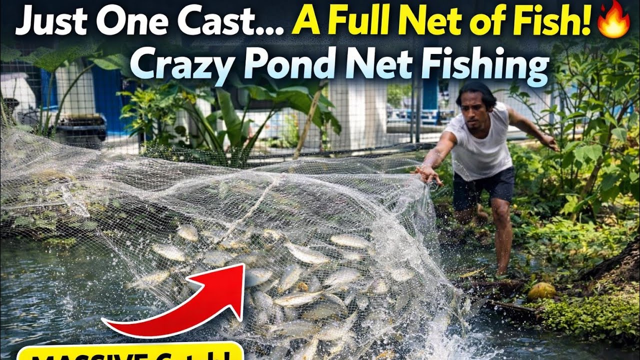 Satisfying Net Fishing Compilation &ndash; Crazy Pond Catch, Pond Net Fishing Surprise &ndash;You Won&rsquo;t Believe