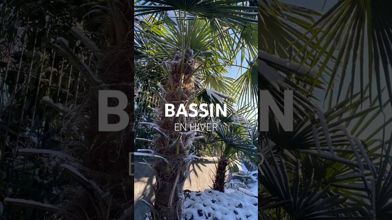 QUE FAIRE EN HIVER AU BASSIN ?