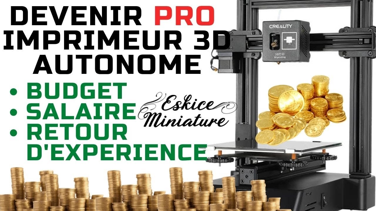 Devenir IMPRIMEUR 3D en partant de 0 -  Budget, revenue...