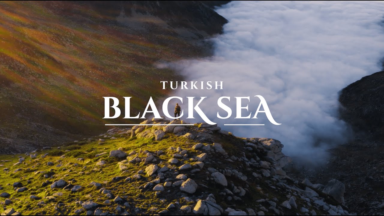 See The Black Sea, Feel Alive