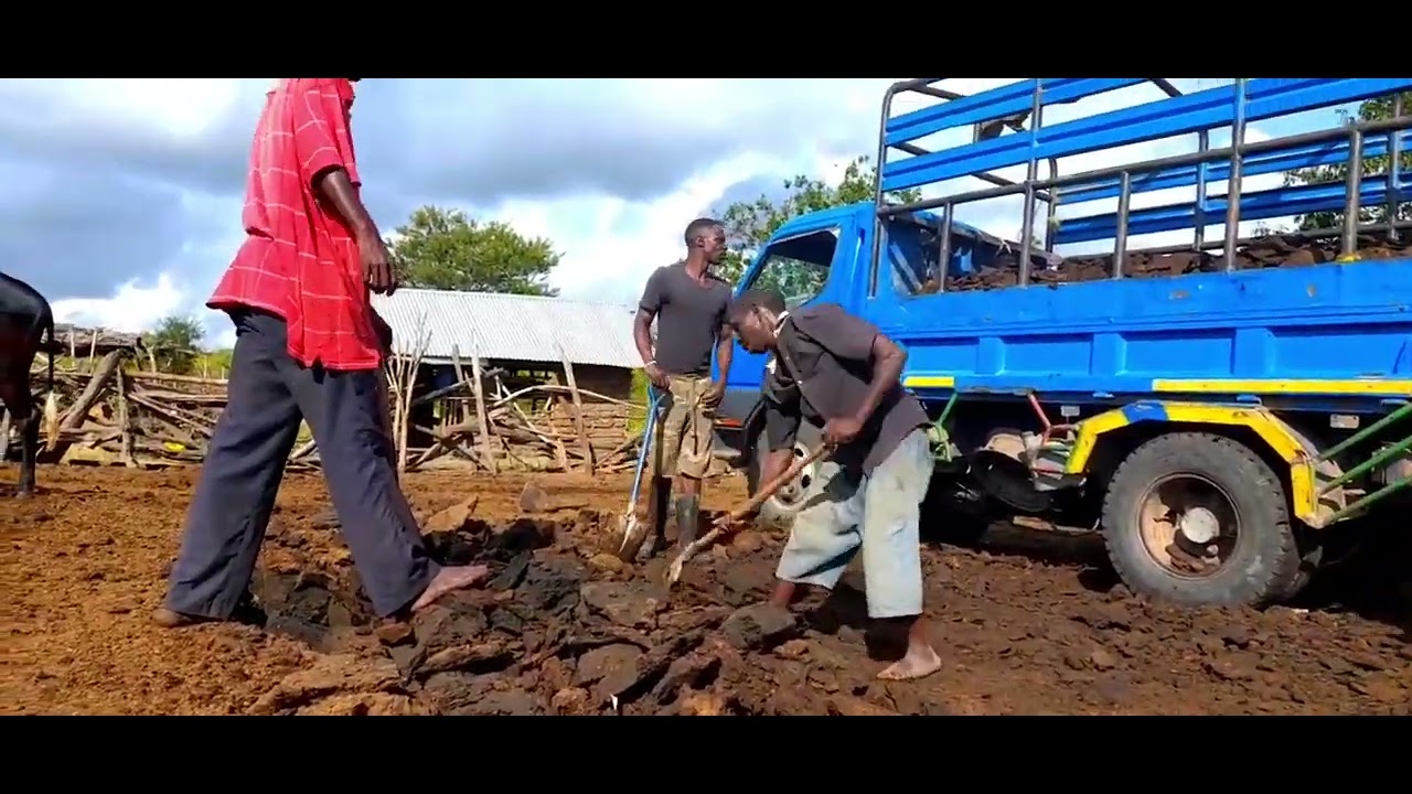Matumizi Ya Mbolea Asili UPANDAJI WA NANASI // Shamba Darasa Bagamoyo