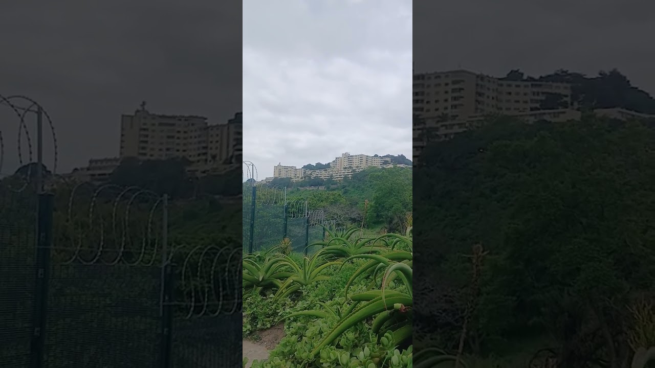 Nisazoba nenkinga kazulu kulemshado yenu