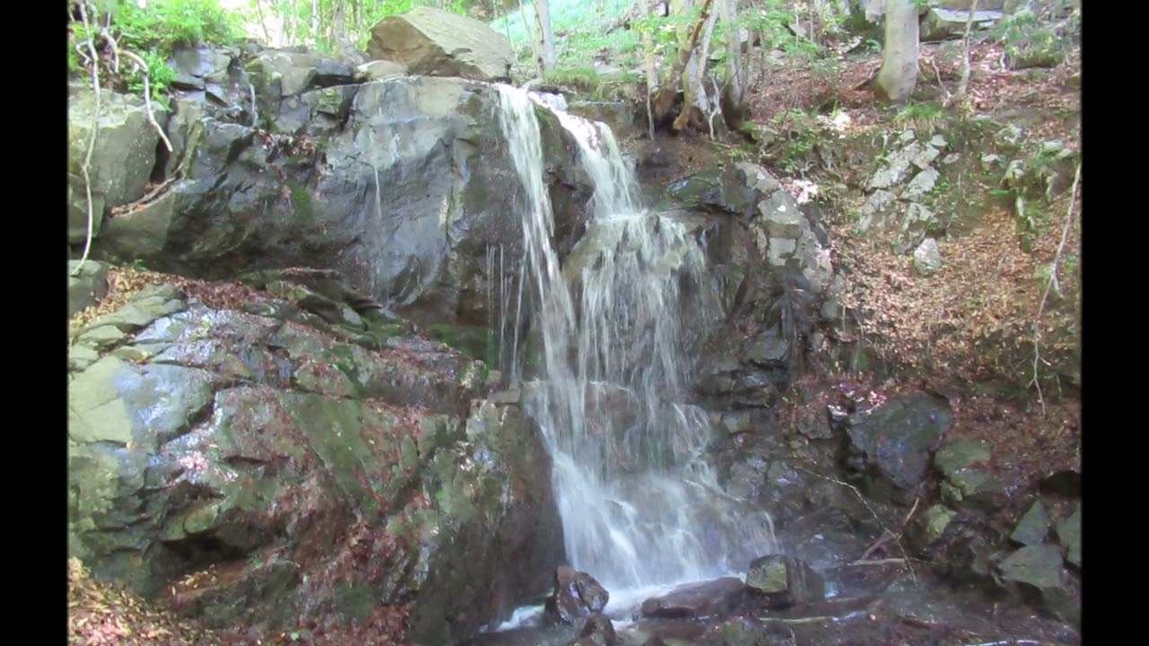 Appennino: Cupolino dal torrente Volata  30 Giugno 2022
