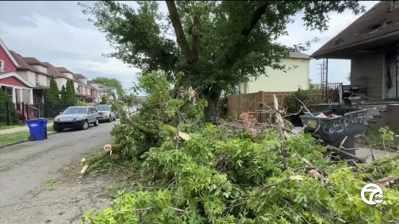 Detroit residents take action after storm leaves fallen trees blocking neighborhood street