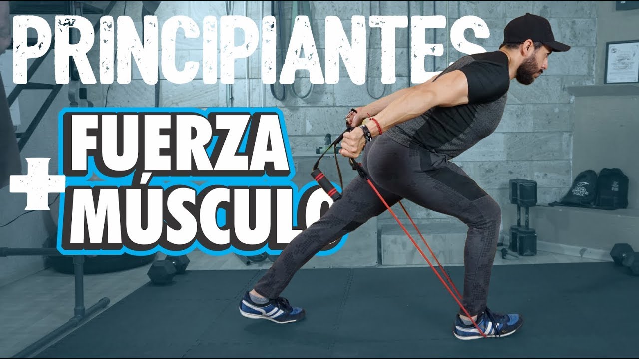 Full Body para Fuerza y Músculo // RUTINA DE PRINCIPIANTES