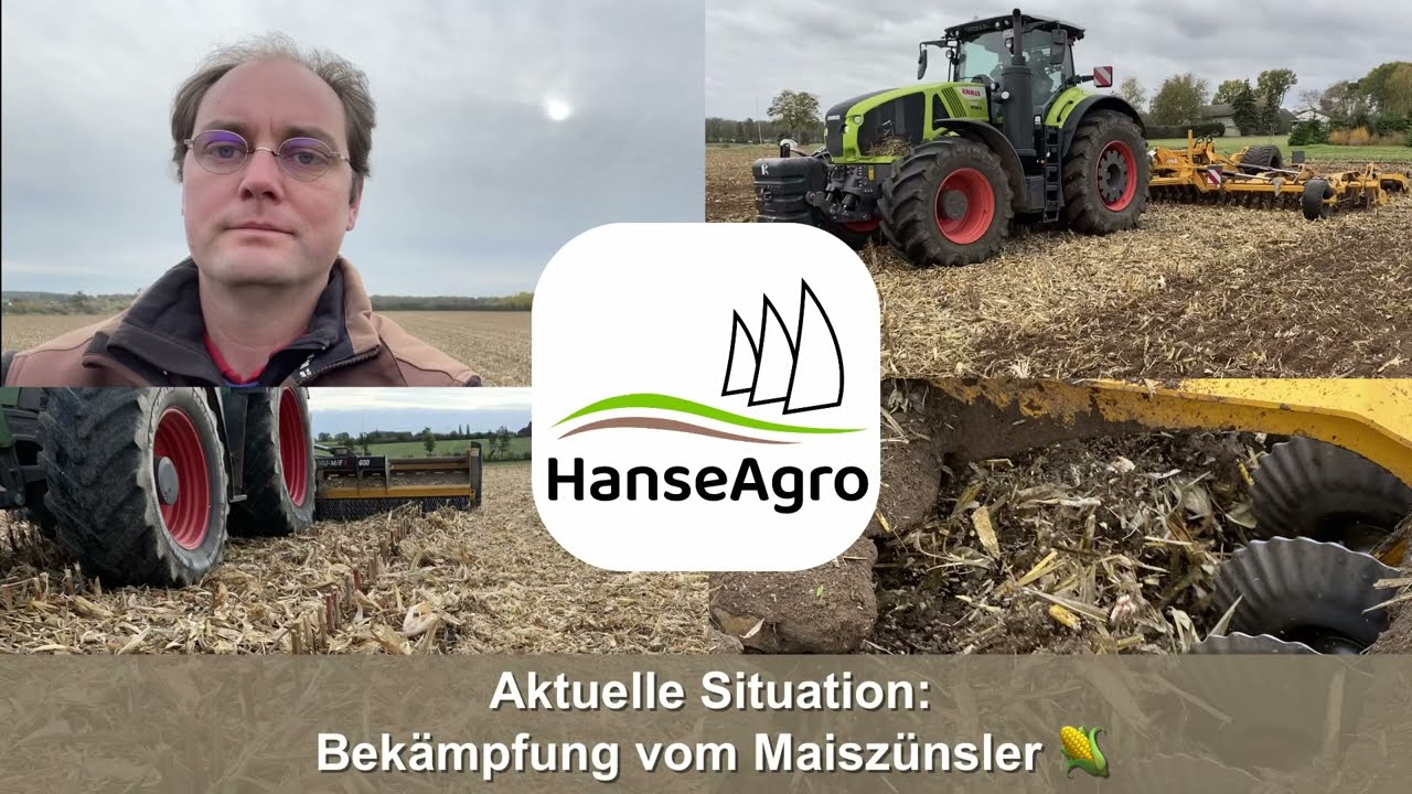 Aktuelle Situation: Bekämpfung vom Maiszünsler