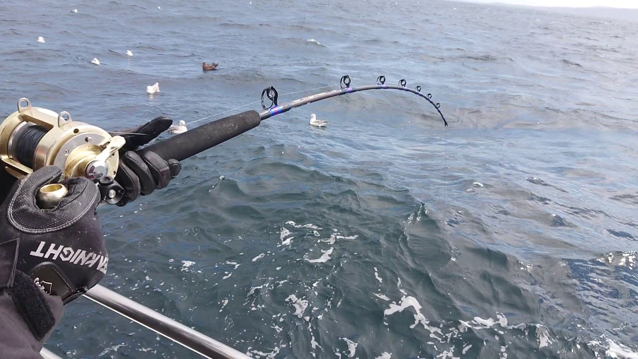 Compass Rose Charters Cullivoe Shetlands 9