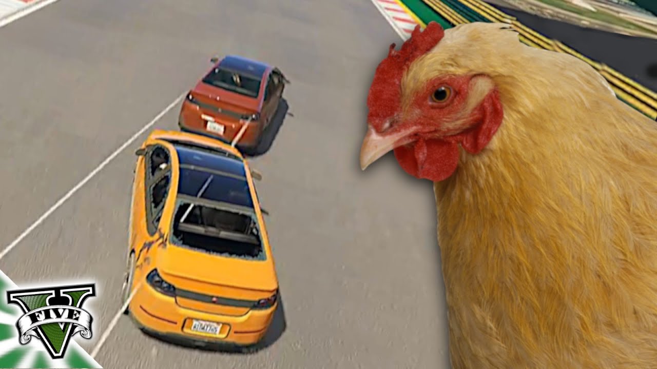 balés, galinhas, caules e pista crua - GTAzin V - pt. 54