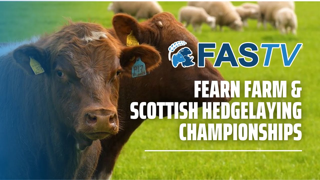 FAS TV Series 3 Ep 18: Fearn Farm & Scottish Hedgelaying Championships