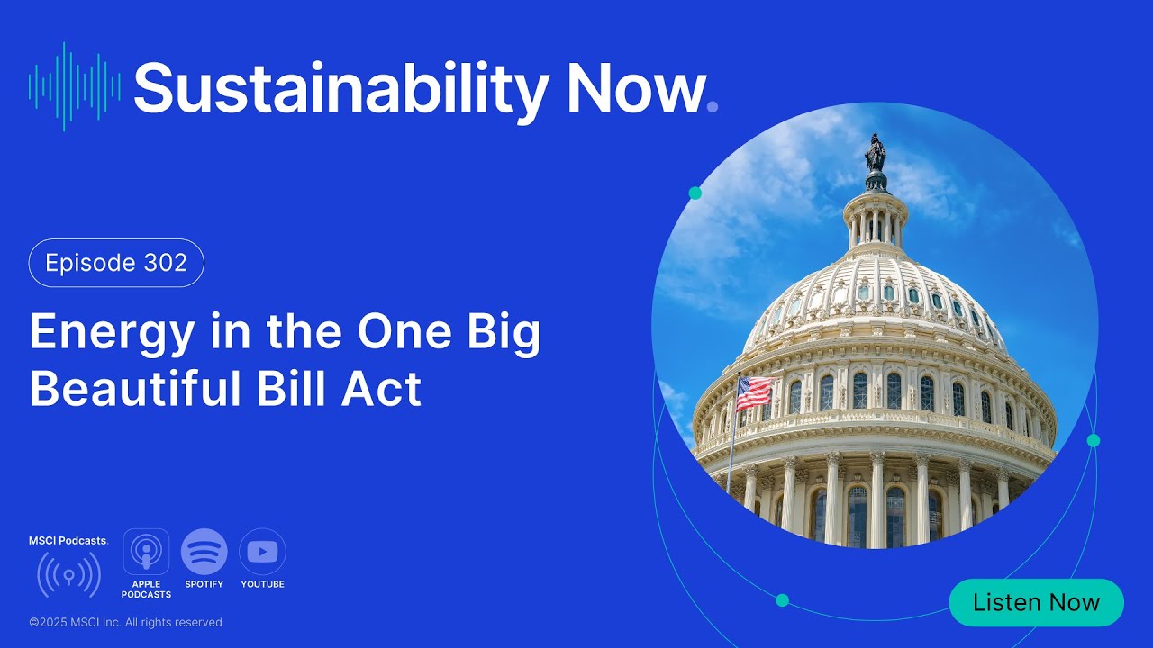 Energy in the One Big Beautiful Bill Act