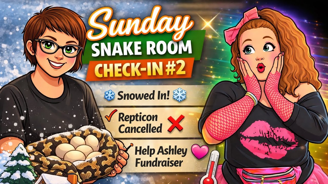 Snowstorm Chaos ❄️ Repticon CANCELLED + Helping Our Friend Ashley 💕 | Sunday Snake Check-In #2