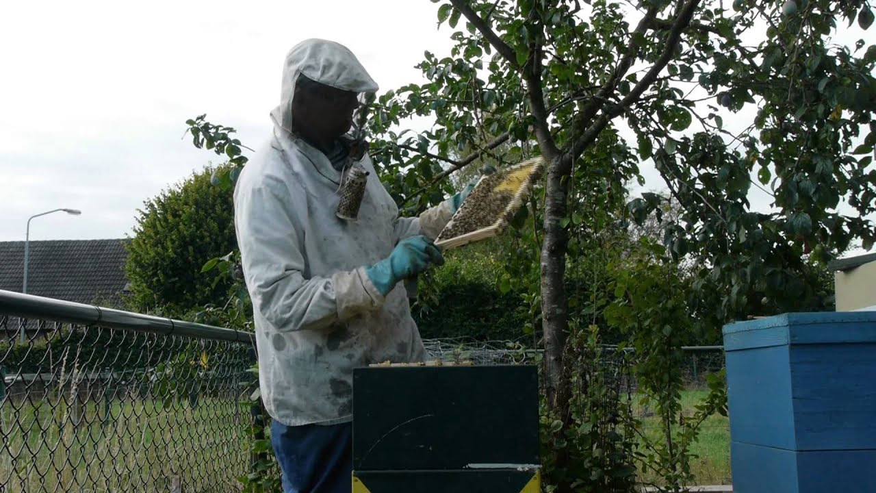 Documantaire Imkerij Jeroen Vonk Uden