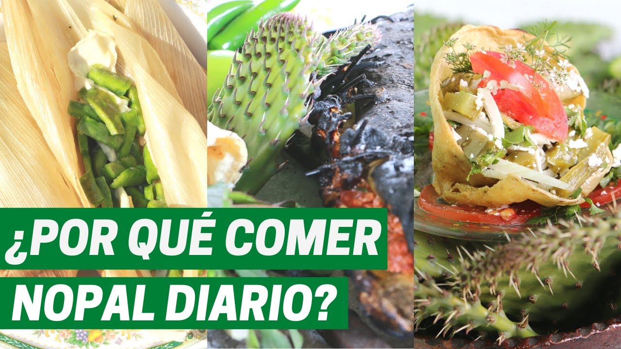 NOPAL COMO ALIMENTO. Beneficios del consumo de nopales