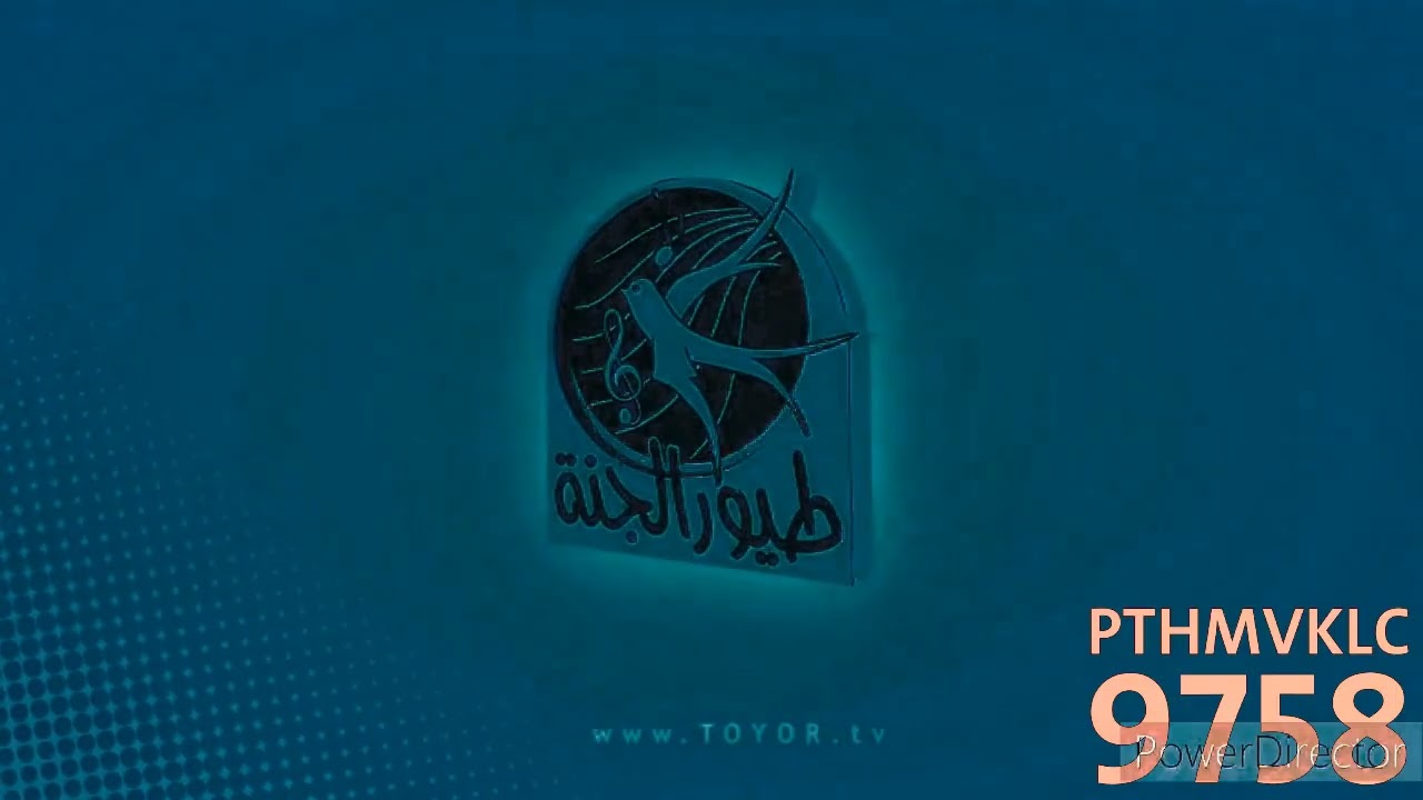 Логотип Toyor Al Janah: противоположные эффекты (Предварительный просмотр 2 эффектов)
