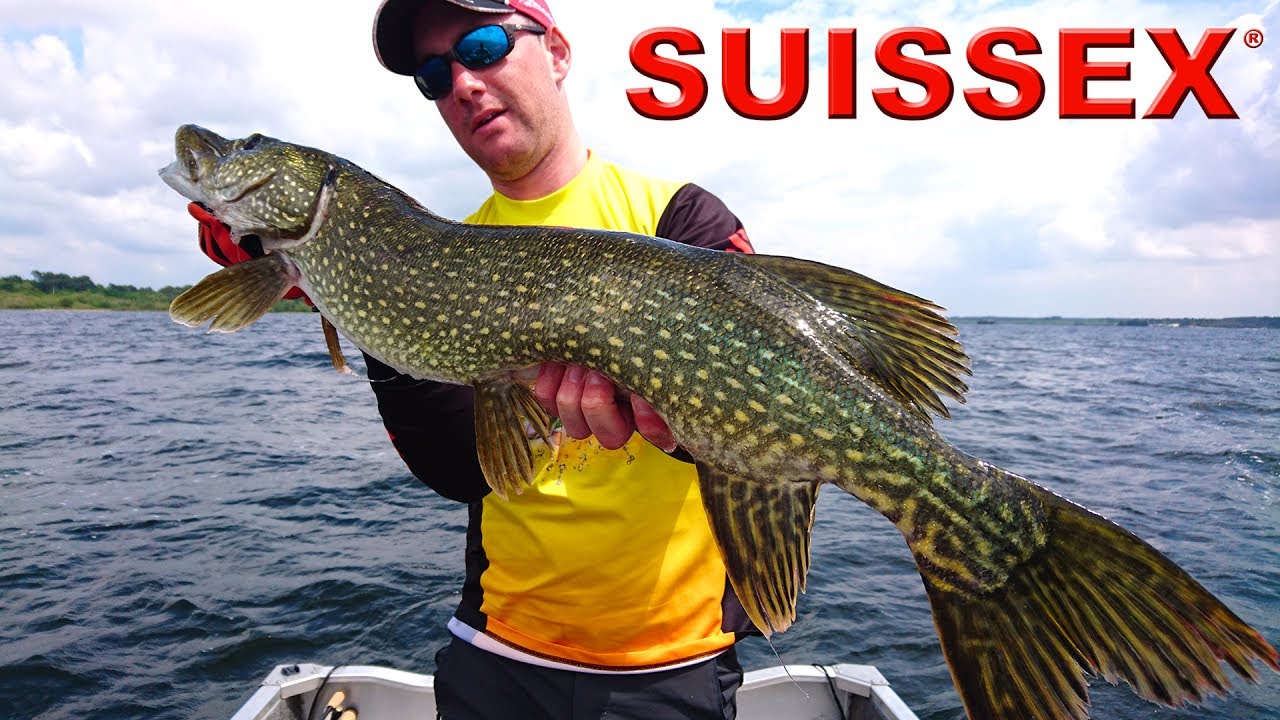 Pêchez avec les cuillers Suissex !