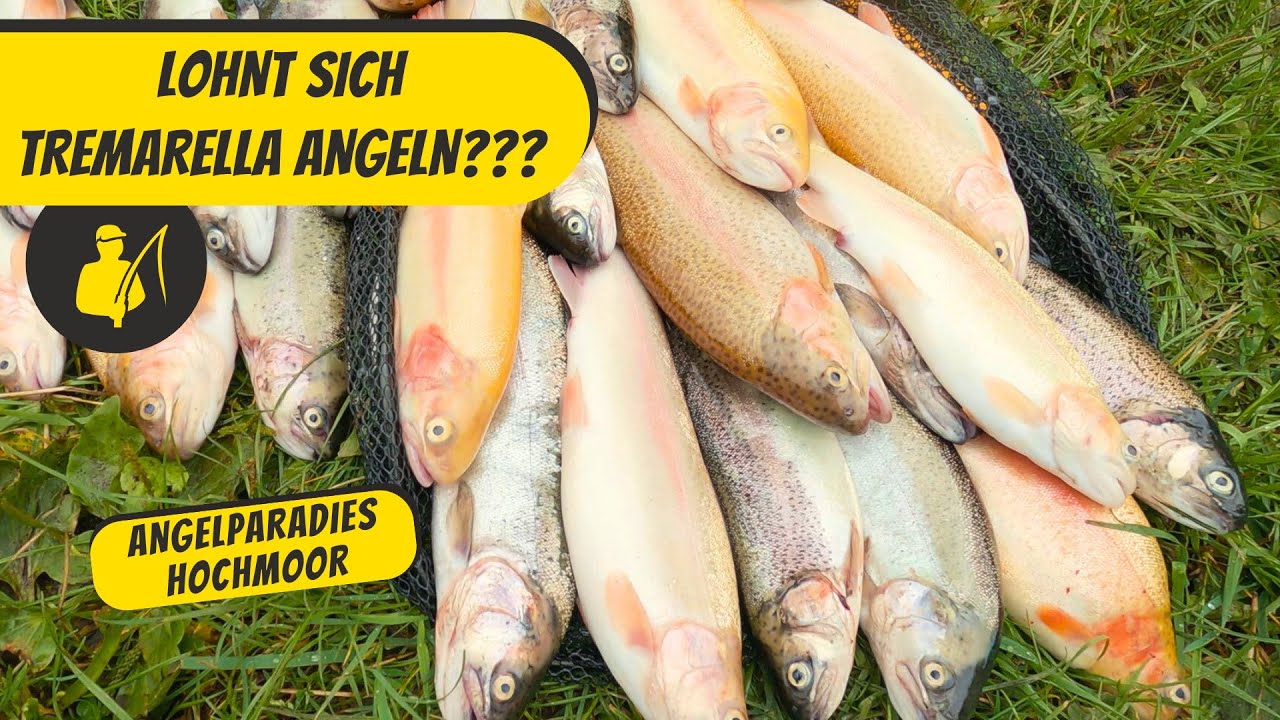 Lohnt sich Tremarella Angeln??