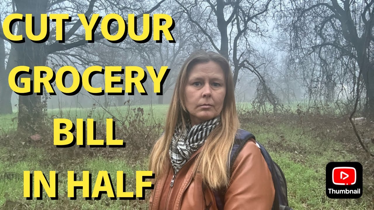 CUT YOUR GROCERY BILL IN HALF, SAVE HUNDREDS EVERY MONTH!