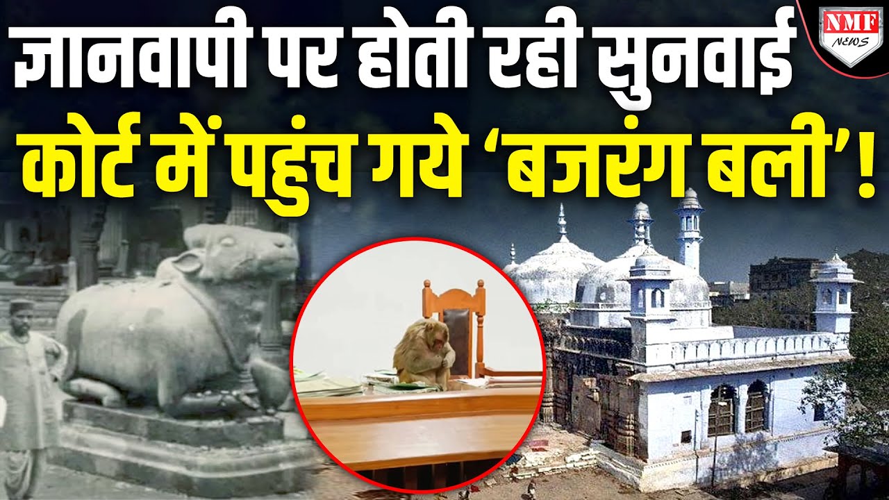 Gyanwapi पर सुनवाई के वक्त Court पहुंचे बंदर ने दिलाई Ayodhya की याद | Varanasi